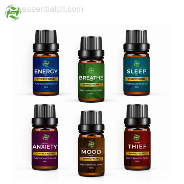 Presentes do dia Essential Oil Blend Set top 6